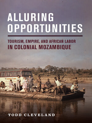 cover image of Alluring Opportunities